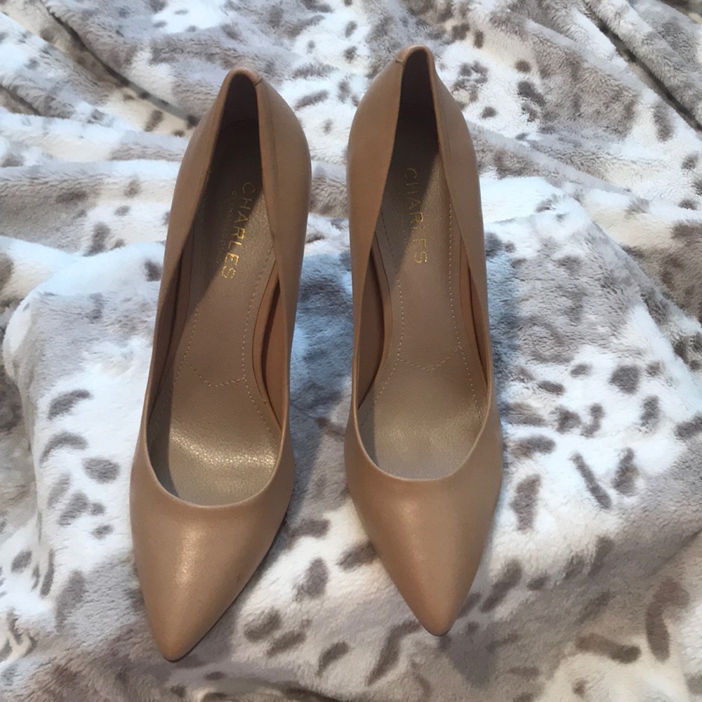 Charles by Charles David Maxx Pointy Toe Pump